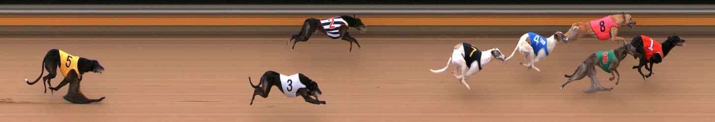 Photo finish for Bendigo Race 5