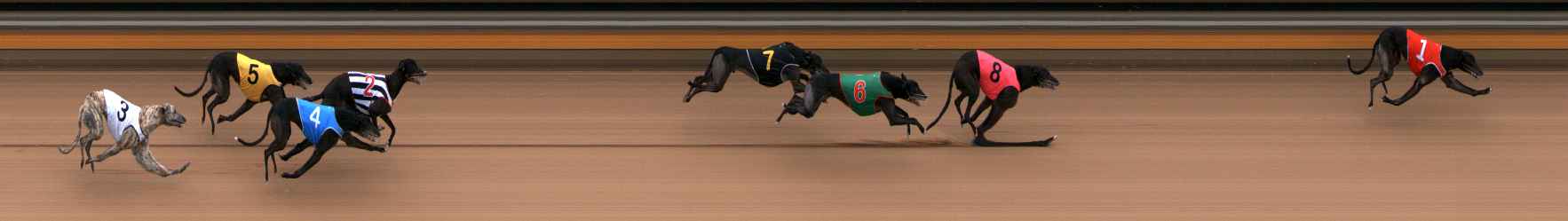Photo finish for Bendigo Race 7