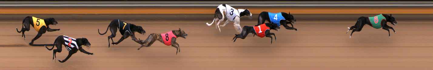 Photo finish for Bendigo Race 8