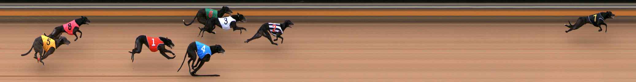 Photo finish for Bendigo Race 9