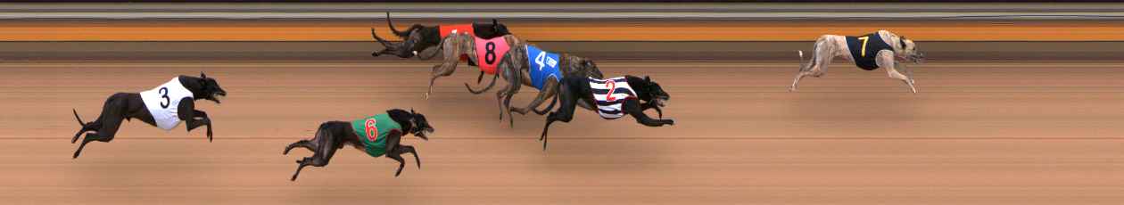 Photo finish for Bendigo Race 10