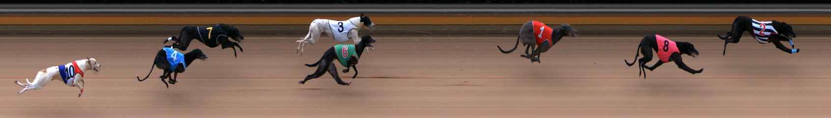 Photo finish for Bendigo Race 11