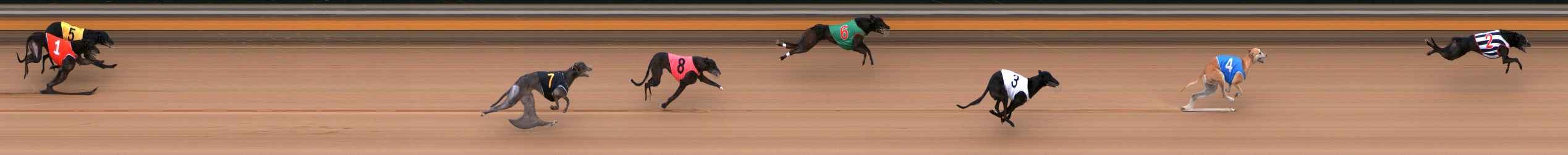 Photo finish for Bendigo Race 12