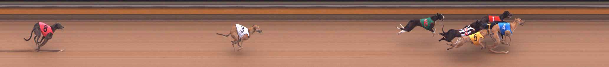 Photo finish for Bendigo Race 4