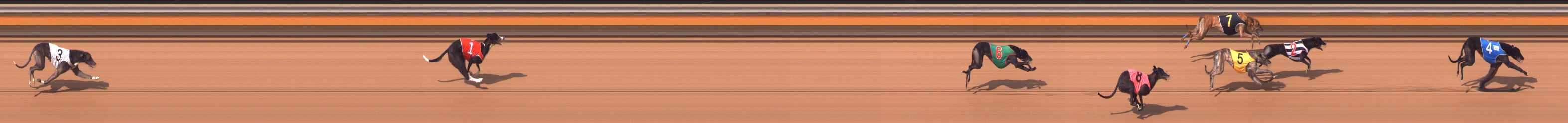 Photo finish for Bendigo Race 6