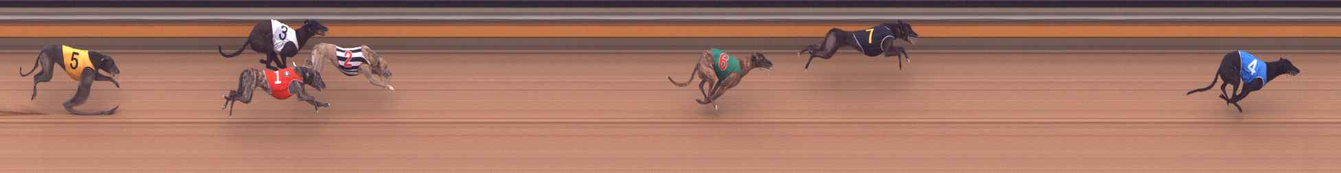 Photo finish for Bendigo Race 8