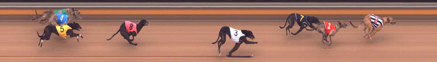 Photo finish for Bendigo Race 9