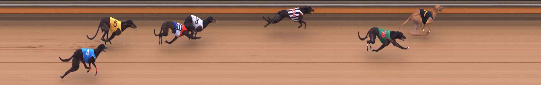 Photo finish for Bendigo Race 6