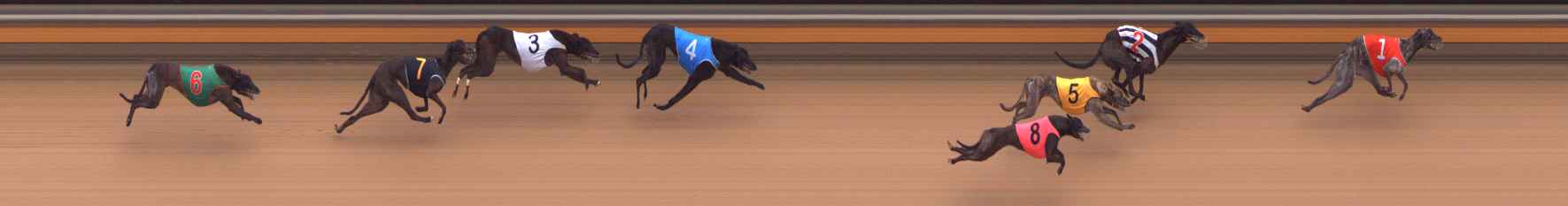 Photo finish for Bendigo Race 9