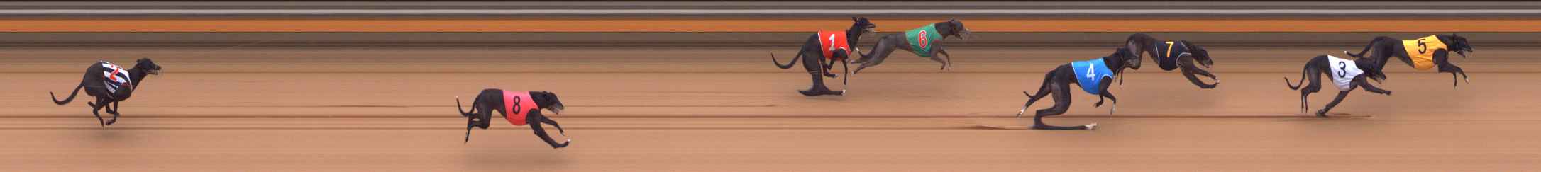 Photo finish for Bendigo Race 10