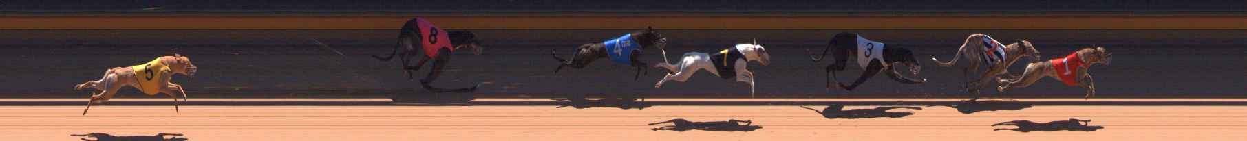 Photo finish for Bendigo Race 7