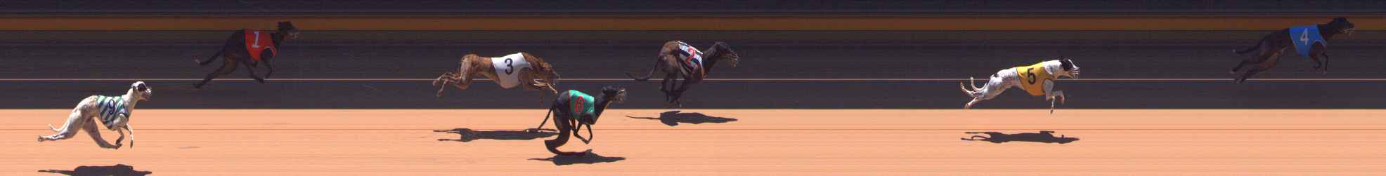Photo finish for Bendigo Race 10