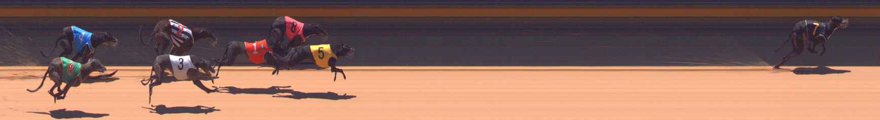 Photo finish for Bendigo Race 11