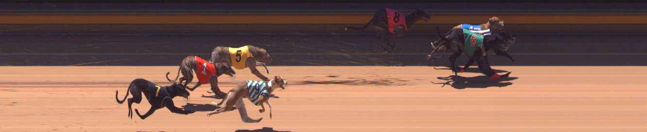 Photo finish for Bendigo Race 12