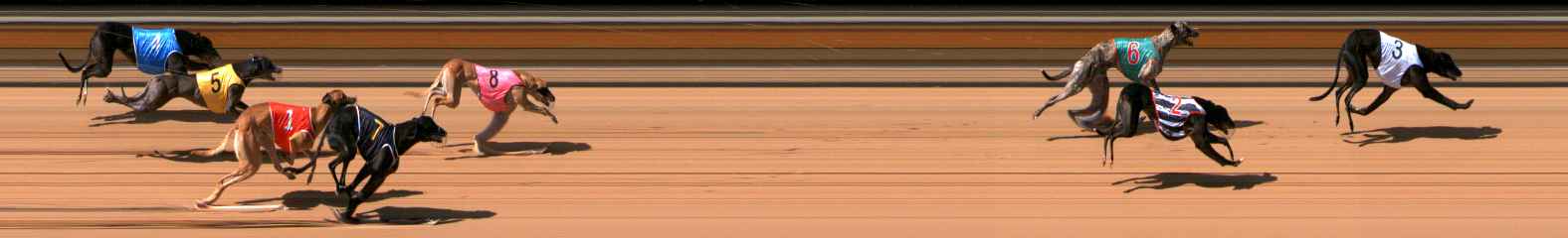 Photo finish for Bendigo Race 3