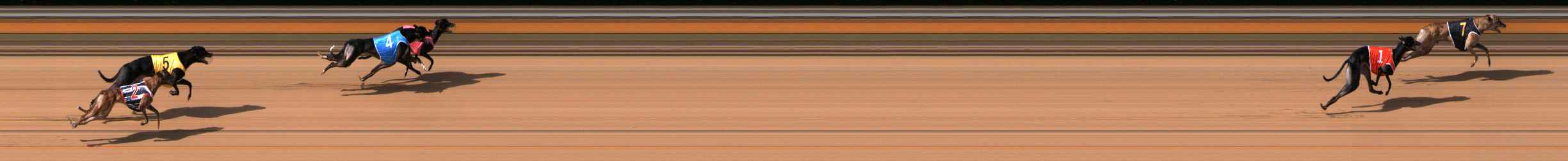Photo finish for Bendigo Race 5