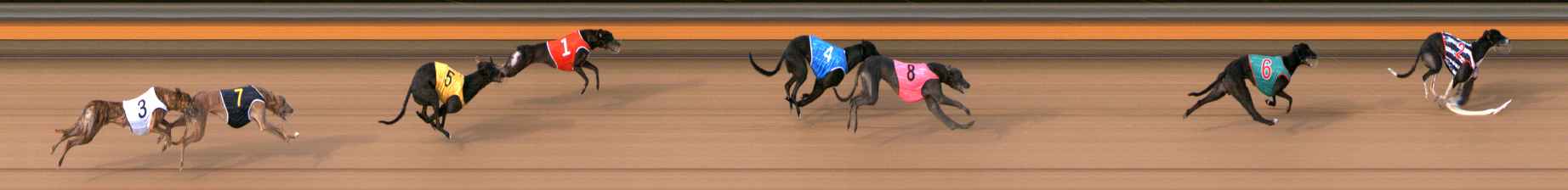 Photo finish for Bendigo Race 8