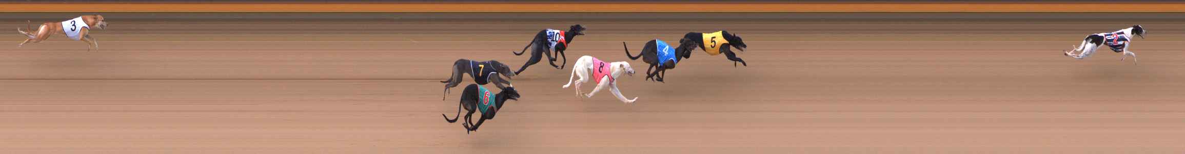 Photo finish for Bendigo Race 5
