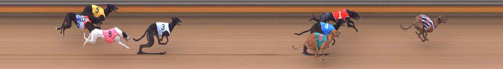 Photo finish for Bendigo Race 6