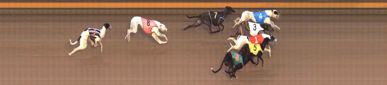 Photo finish for Bendigo Race 7