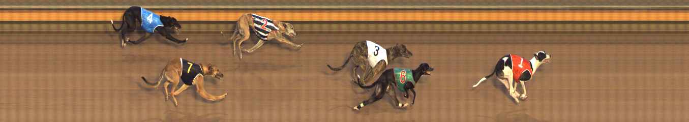 Photo finish for Bendigo Race 8