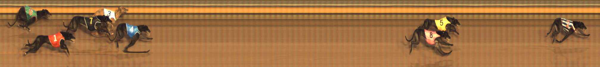 Photo finish for Bendigo Race 9