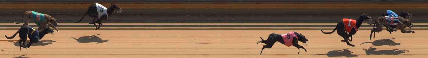 Photo finish for Bendigo Race 2
