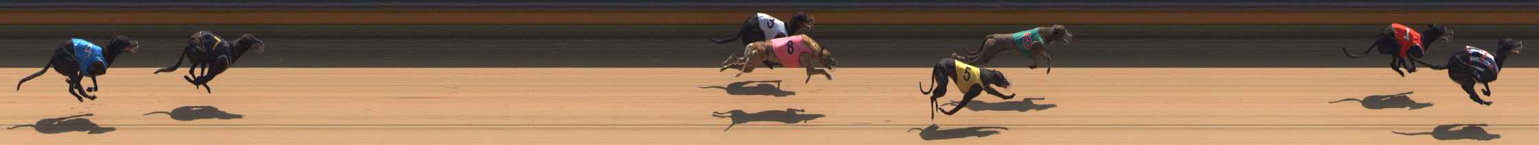 Photo finish for Bendigo Race 4