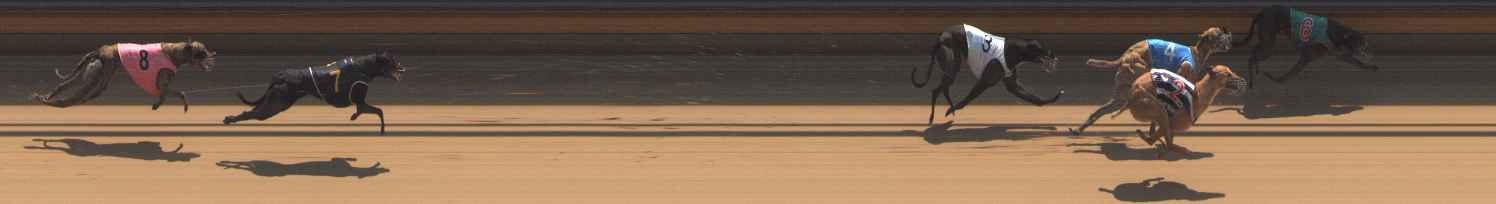 Photo finish for Bendigo Race 6