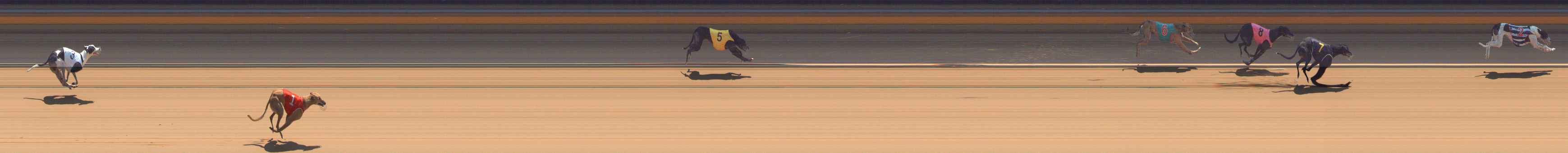 Photo finish for Bendigo Race 7
