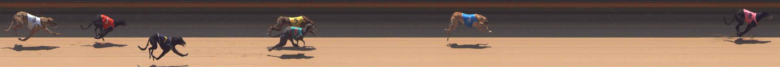 Photo finish for Bendigo Race 9
