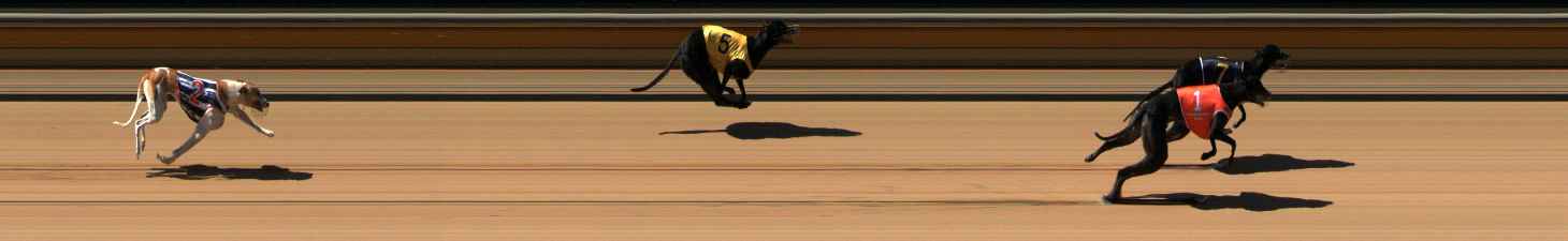 Photo finish for Bendigo Race 1