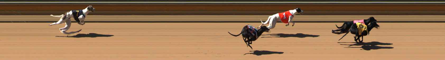 Photo finish for Bendigo Race 2