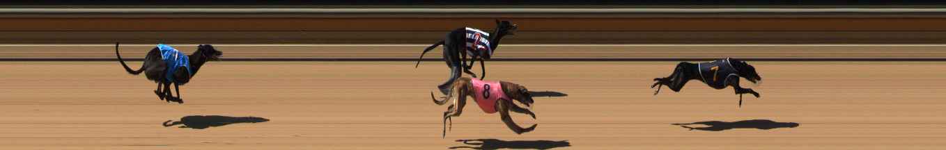 Photo finish for Bendigo Race 3