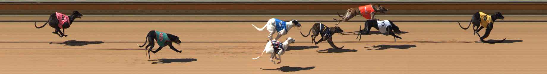 Photo finish for Bendigo Race 4