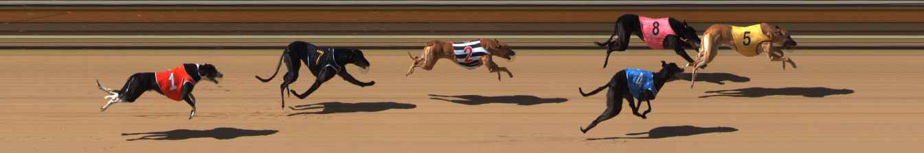 Photo finish for Bendigo Race 5
