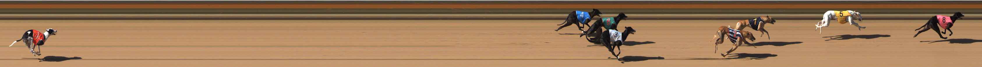 Photo finish for Bendigo Race 6