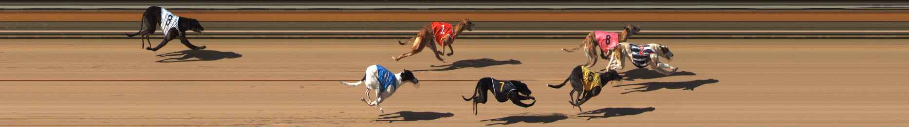 Photo finish for Bendigo Race 7