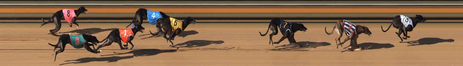Photo finish for Bendigo Race 8