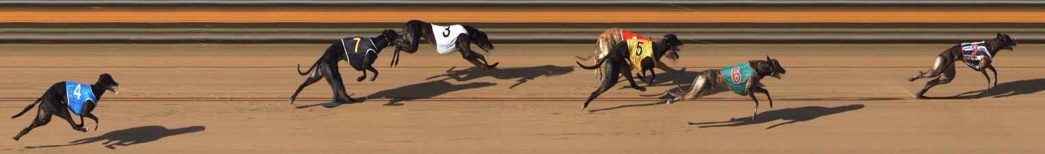 Photo finish for Bendigo Race 9