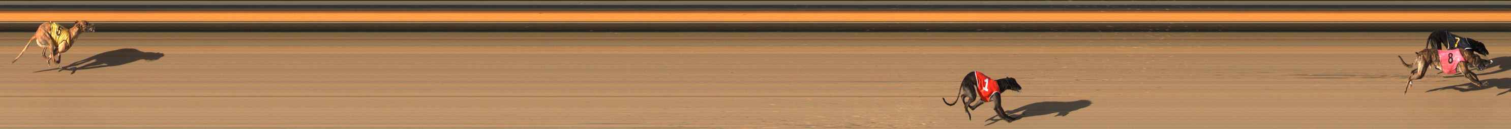 Photo finish for Bendigo Race 11