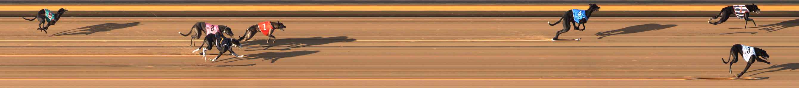 Photo finish for Bendigo Race 5