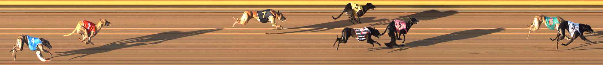 Photo finish for Bendigo Race 6