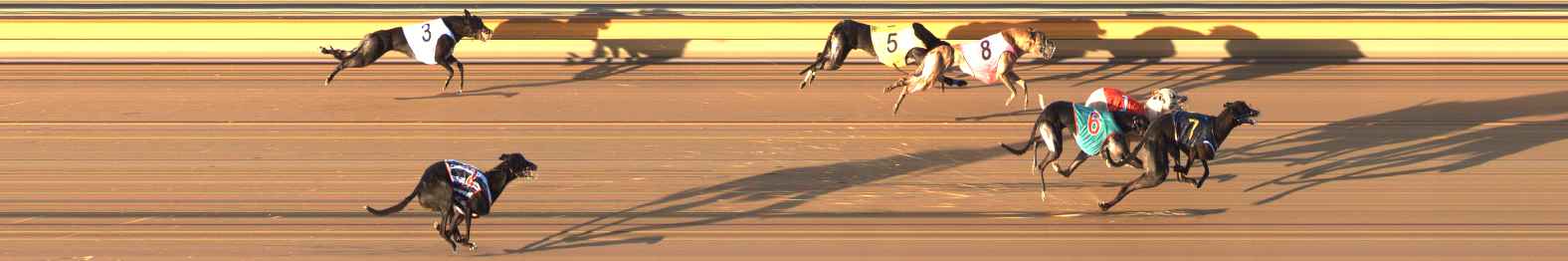 Photo finish for Bendigo Race 7