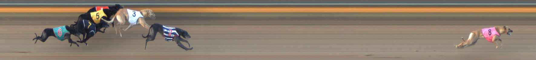 Photo finish for Bendigo Race 8
