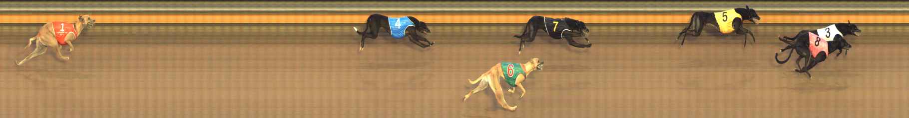 Photo finish for Bendigo Race 9