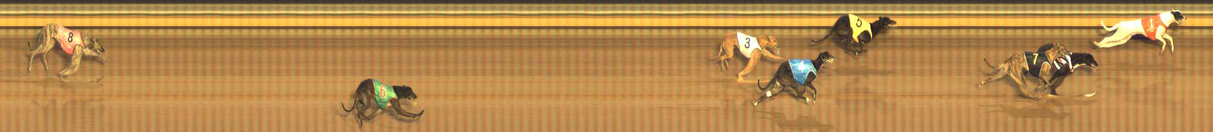 Photo finish for Bendigo Race 10