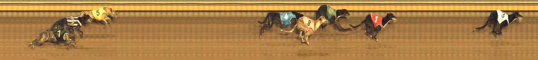 Photo finish for Bendigo Race 11