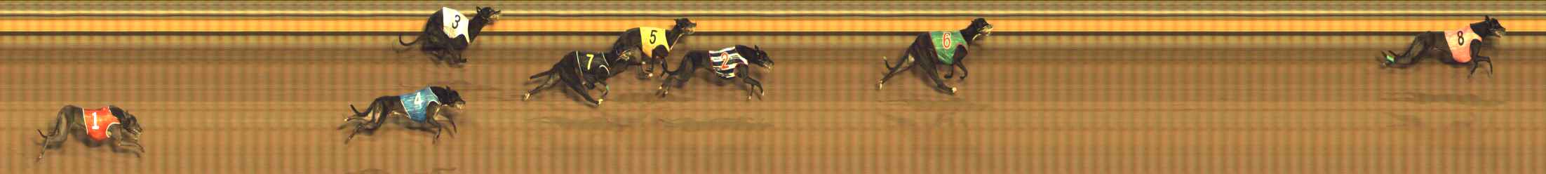 Photo finish for Bendigo Race 12