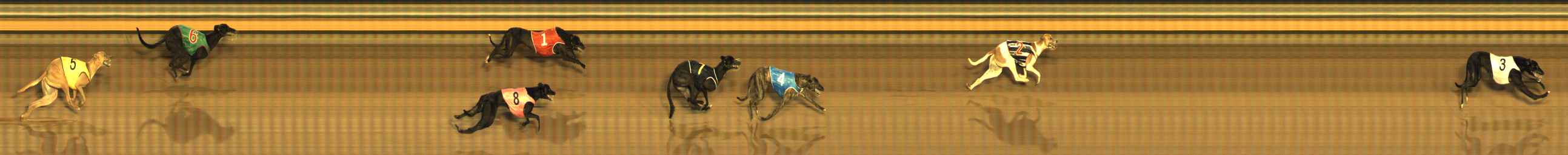 Photo finish for Bendigo Race 4